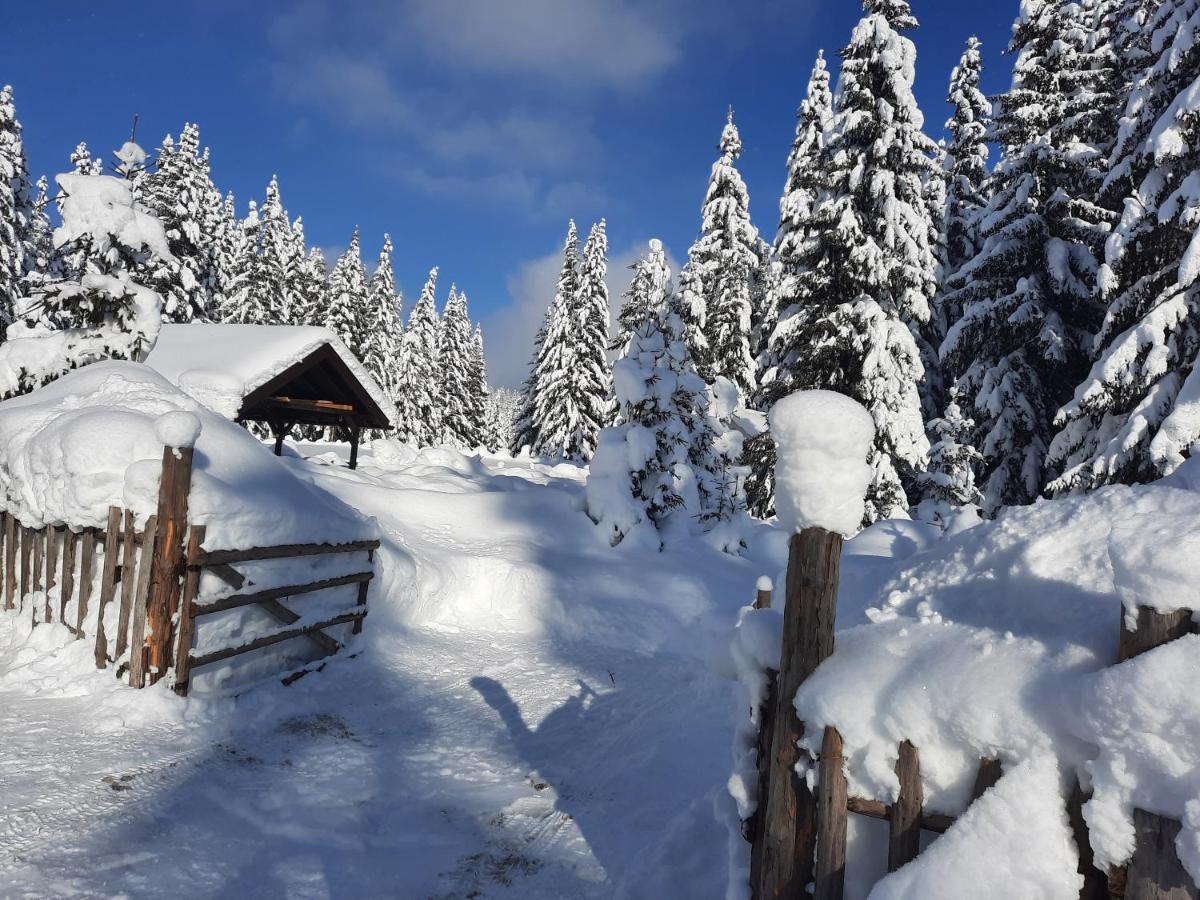 Vila Jelena Jahorina Bagian luar foto