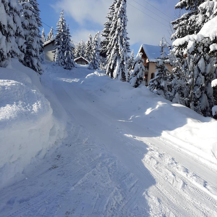 Vila Jelena Jahorina Bagian luar foto