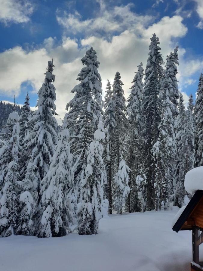 Vila Jelena Jahorina Bagian luar foto