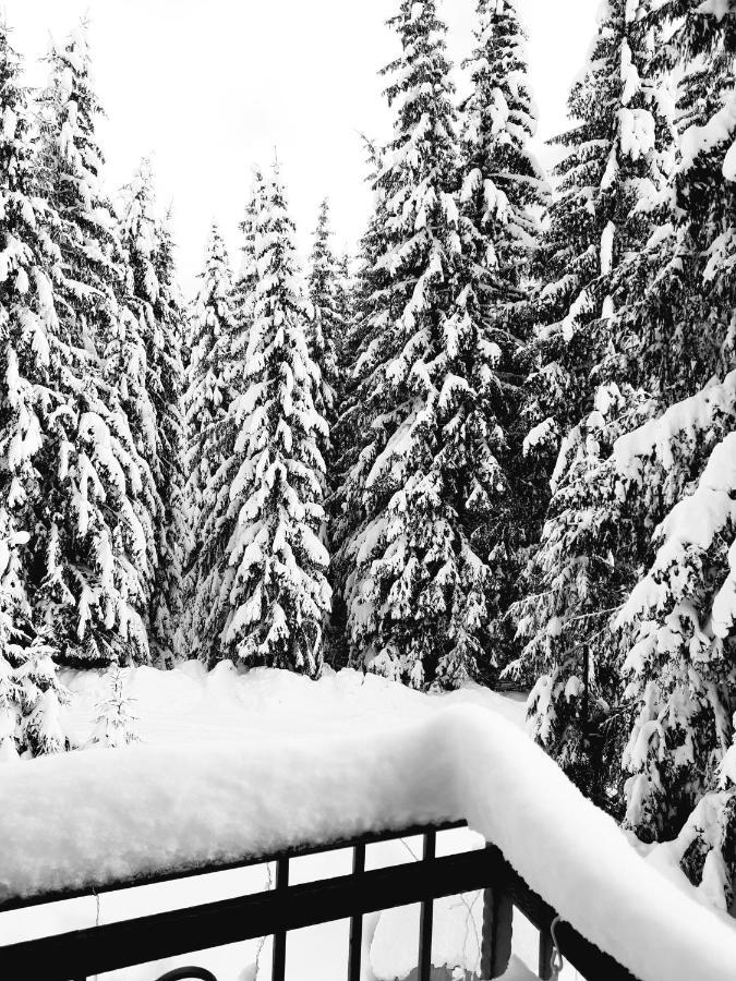Vila Jelena Jahorina Bagian luar foto