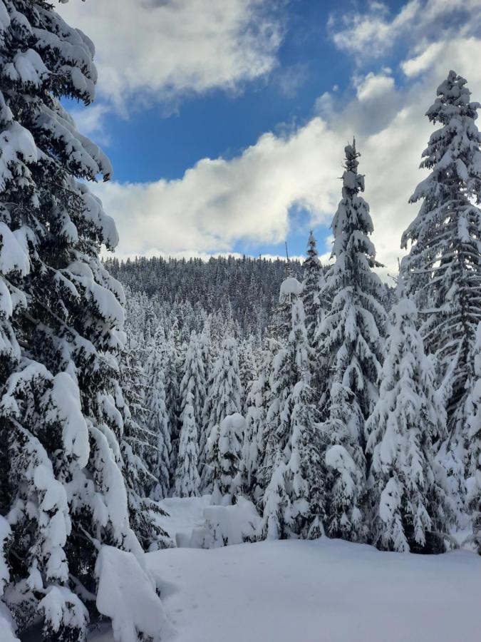 Vila Jelena Jahorina Bagian luar foto