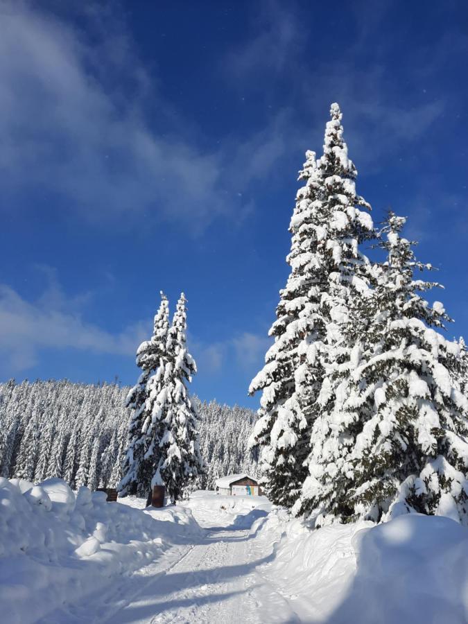 Vila Jelena Jahorina Bagian luar foto
