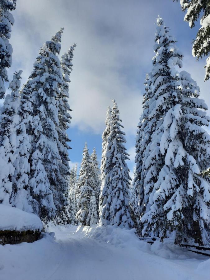 Vila Jelena Jahorina Bagian luar foto
