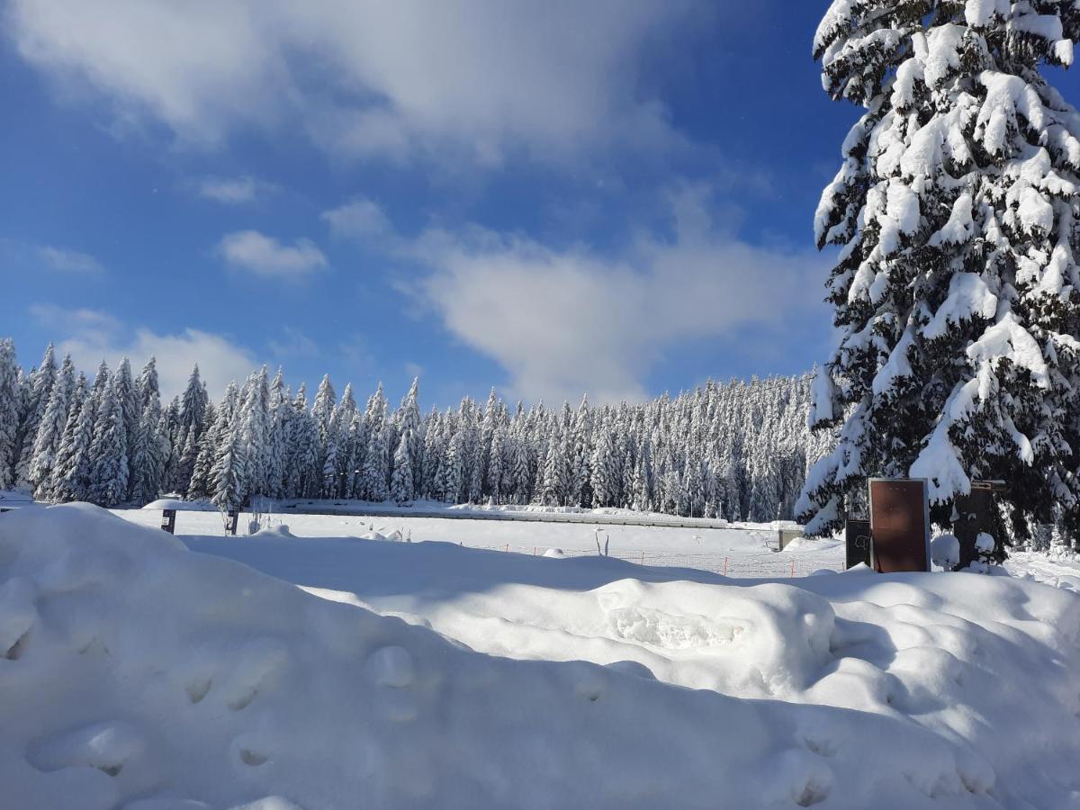 Vila Jelena Jahorina Bagian luar foto