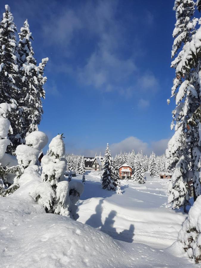 Vila Jelena Jahorina Bagian luar foto