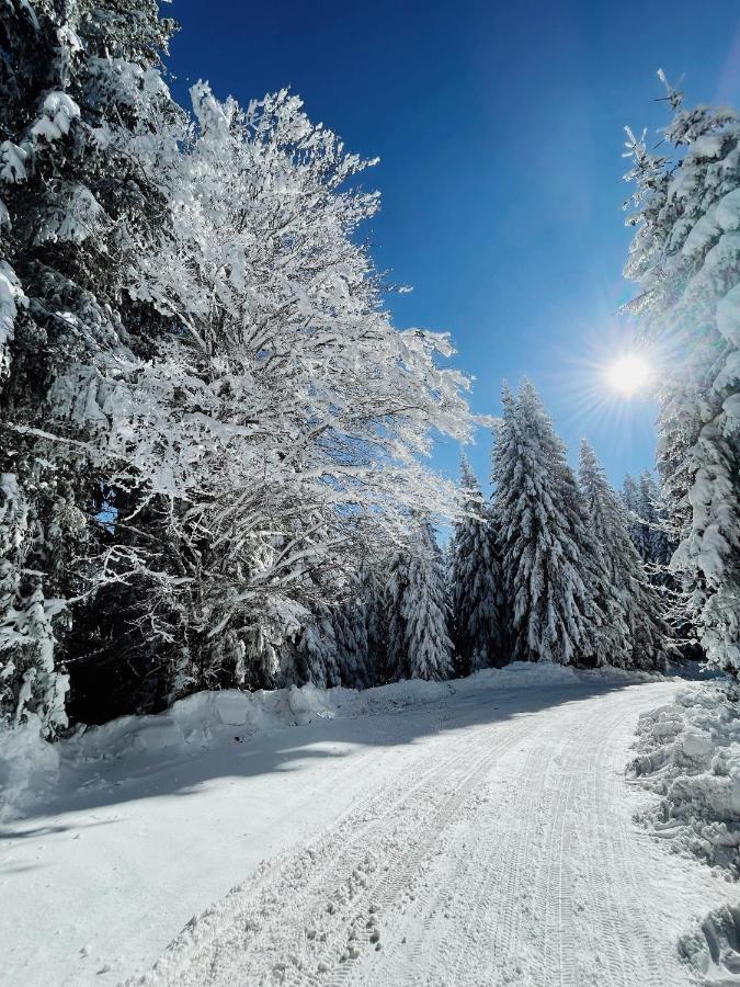 Vila Jelena Jahorina Bagian luar foto